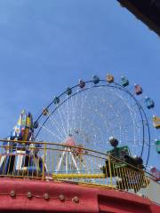 Hongmao Children Amusement Park