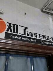 知了動漫主題影咖（下關天城店）