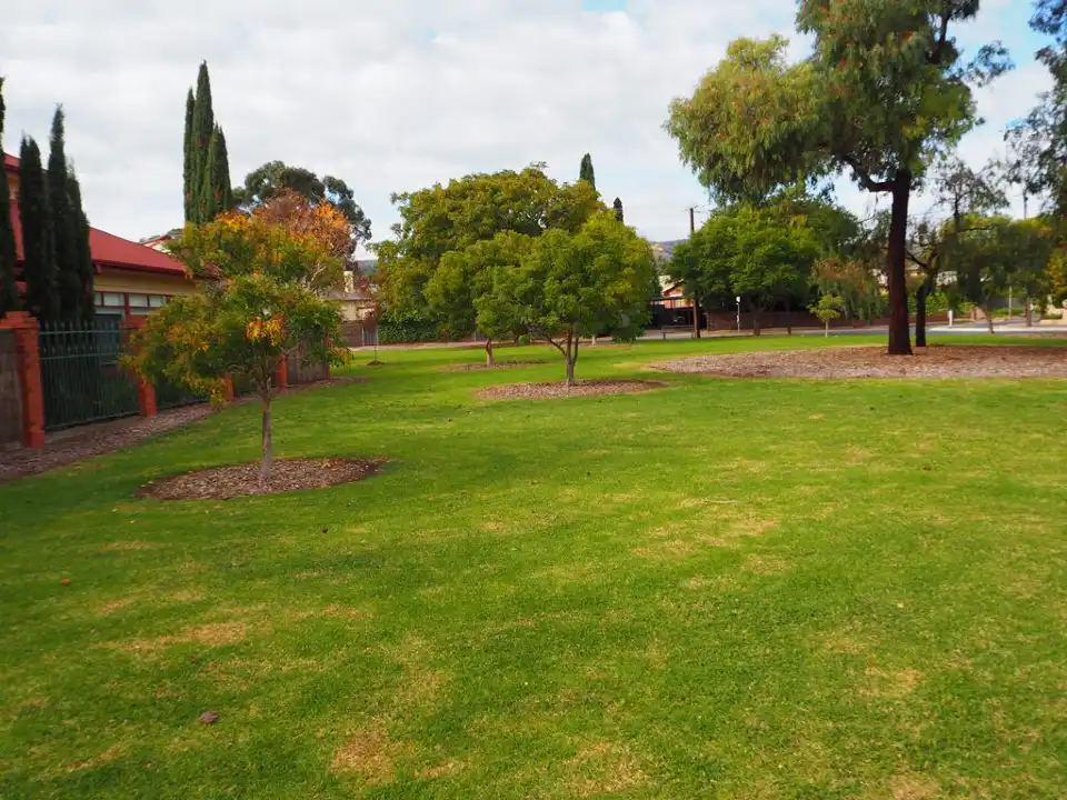 Bradman Street Park