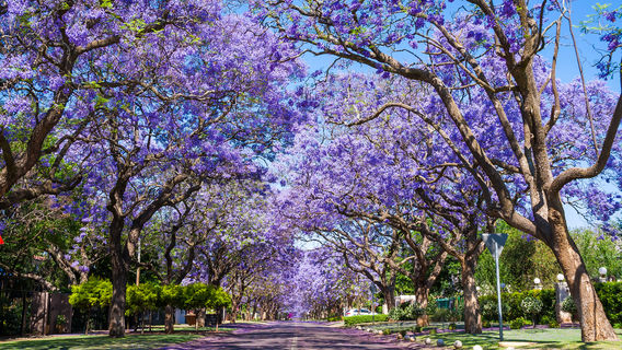 Pretoria