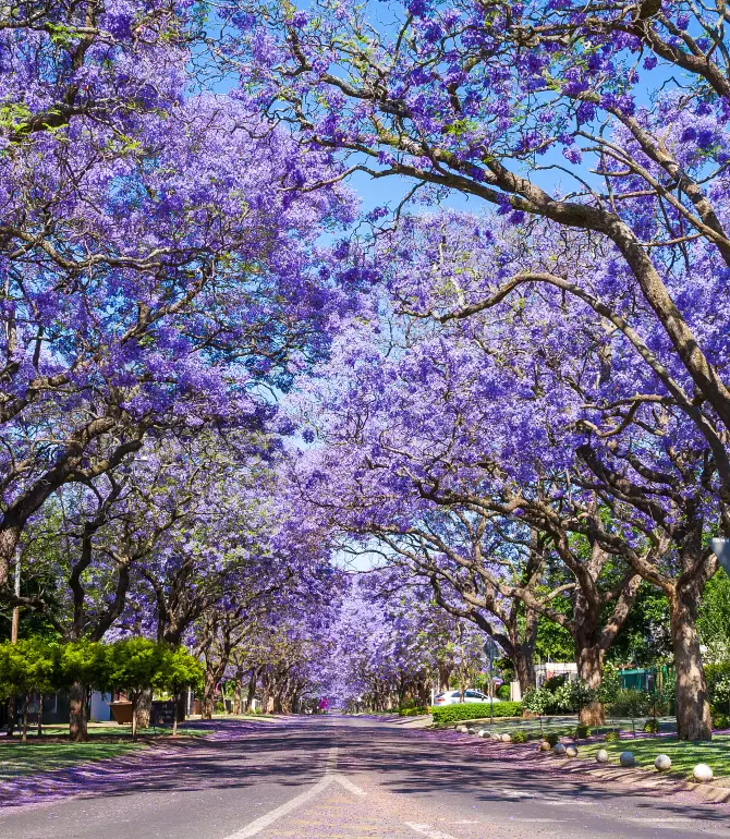 Pretoria