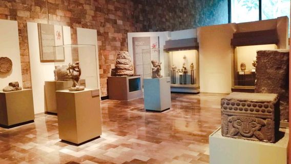 Museum of Anthropology and History