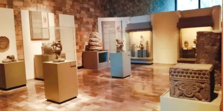 Museum of Anthropology and History