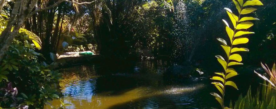 Parque Ecologico A Tribuna