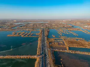 광푸구청