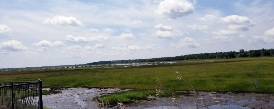 Tuckahoe-Corbin City Fish And Wildlife Management Area
