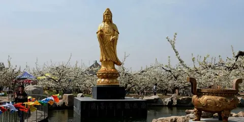 南無觀世音菩薩