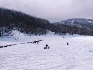 Ski lifts Sellata - Pierfaone