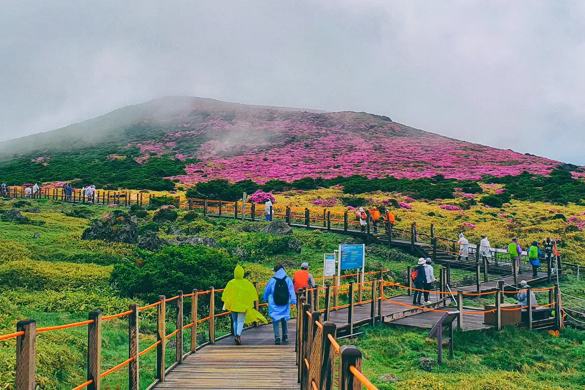 Hallasan Mountain
