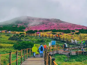 한라산 국립공원