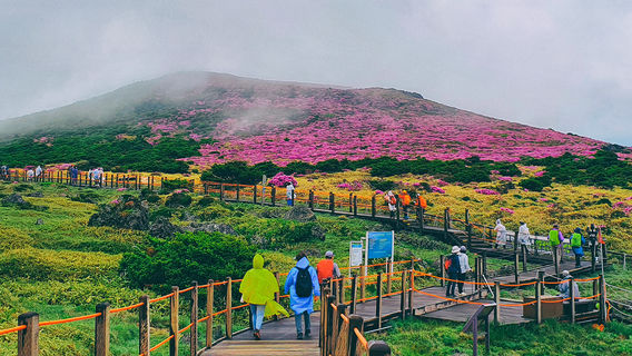 Hallasan National Park