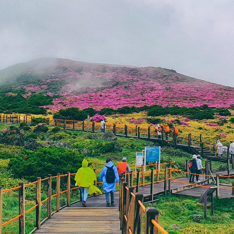 漢拿山國立公園
