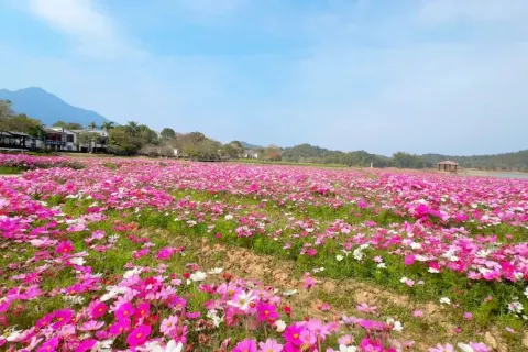 Wanlu Lake Scenic Area