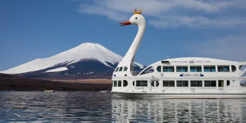 山中湖遊覽船“天鵝湖”郵輪船票優惠票(狗狗專享)