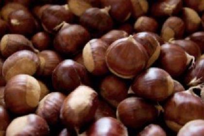 AUNTEL WANG WEN CHANG YOU ZAN ZI