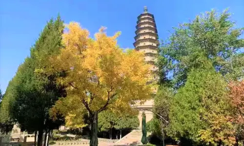 Shuangta Temple (Twin Pagoda Temple)