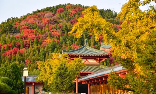 Nanshan Tourist Area