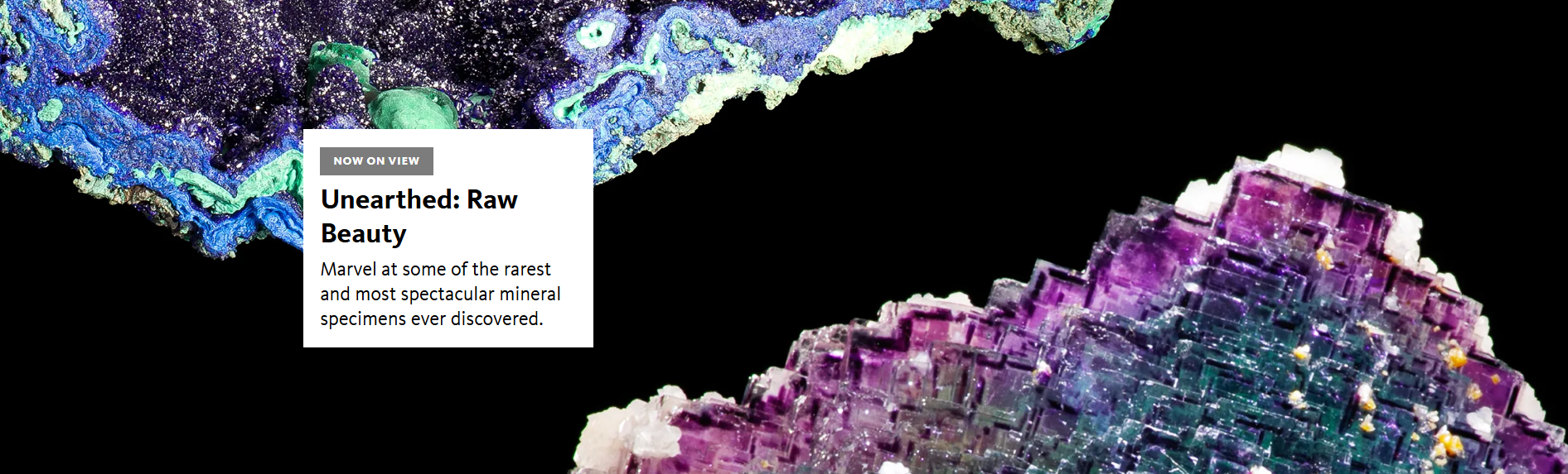 Unearthed: Raw Beauty | Natural History Museum of Los Angeles County
