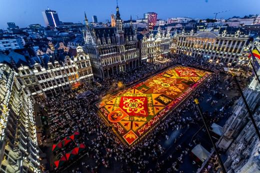 Flower Carpet | Brussels
