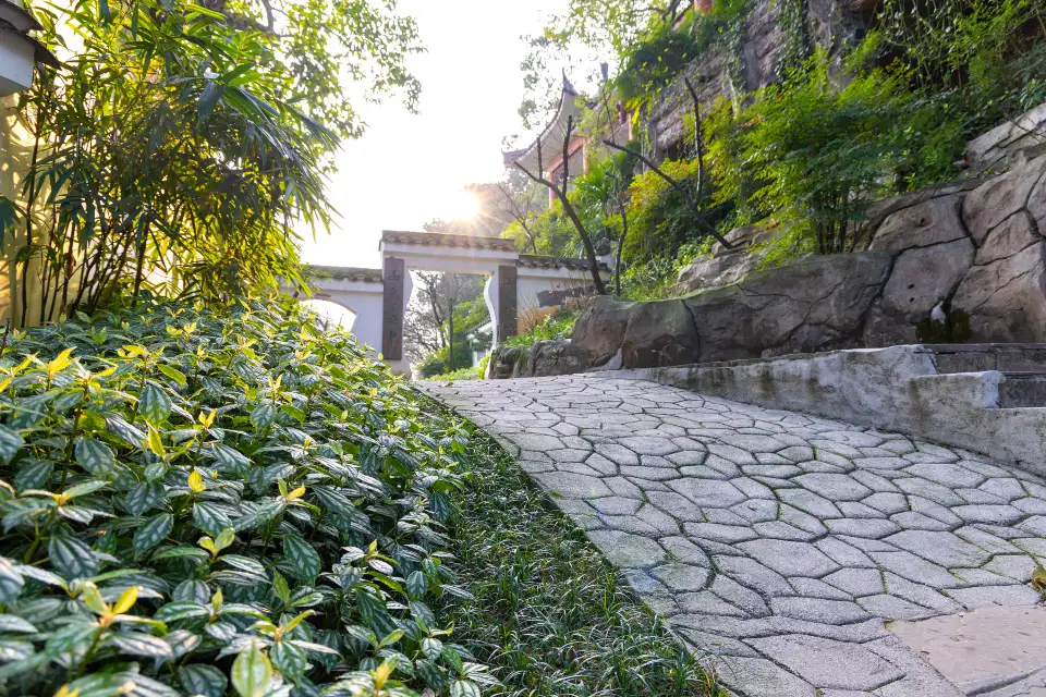 2_重慶南山植物園