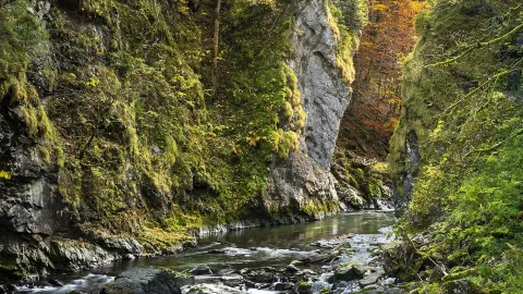 Breitachklamm attraction in Bavaria