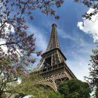 หอไอเฟล (Eiffel Tower)
