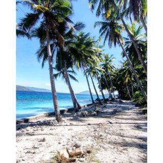 Alor Island is located in the eastern part of East Nusa Tenggara Province. With the size of about 2119 km per square, it offers various types of landscapes!
Even though Alor Island is not as popular as Komodo or Raja Ampat Island, it has a similar beauty to those places. The best thing is that you may find at least 50 diving spots scattered from Alor to Pantar Island. Tens of them are considered the best and have fulfilled the international requirement. No wonder, Alor has become an Indonesia’s recommended destination for those who are looking for the best experience in snorkeling, diving, swimming, and other types of water sports.
Alor is also known for its unique culture due to the presence of Alor Tribe and several traditional villages located in a highland. Overall, you would get an amazing experience while exploring the region regardless of the time of visit.
#summervacation#beachvacation#urbanexplorer