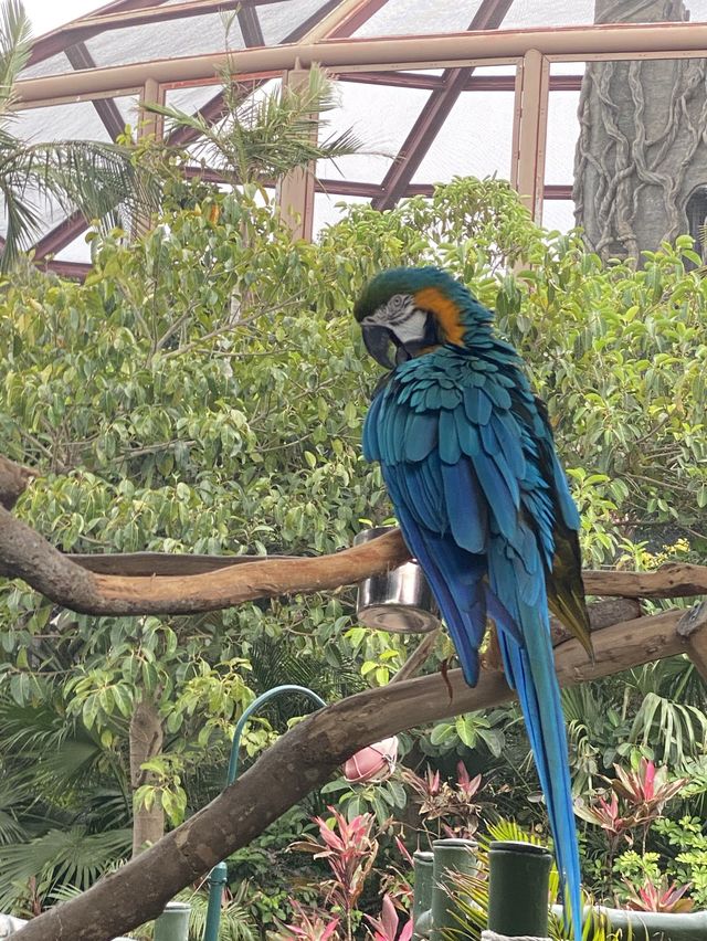 香港人的回憶 海洋公園