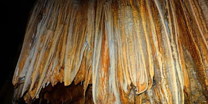 茂蘭國家級自然保護區-金獅洞