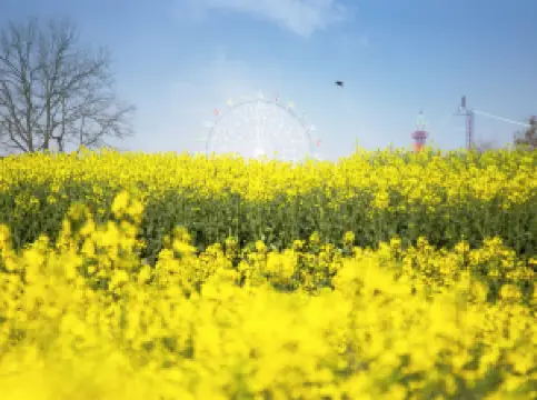 木蘭花鄉景區（木蘭不夜城）
