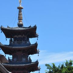 一念之間張用戶圖片