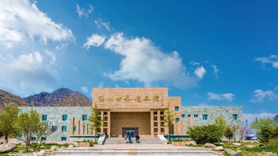 Yinchuan World Rock Art Museum