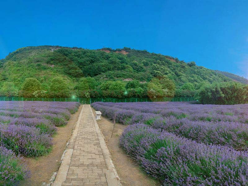 쉐랑산(설랑산) 생태원