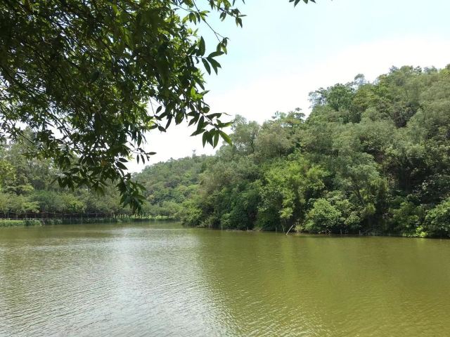 Bruce Lee Park