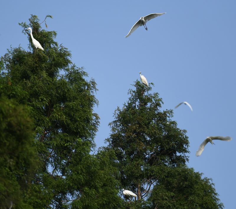 釧路市丹頂鶴自然公園