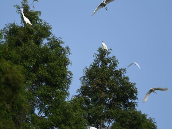 釧路市丹頂鶴自然公園