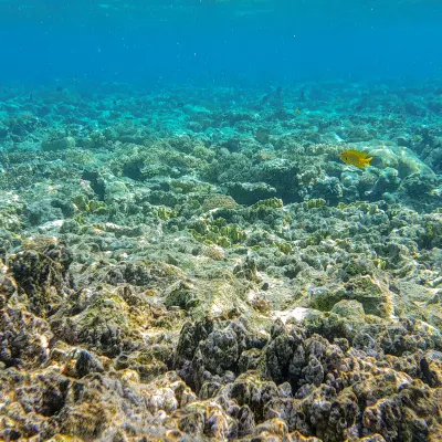 Flug Grand Cayman Lincoln