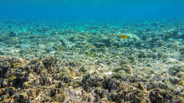 Vé máy bay Đà Nẵng Grand Cayman