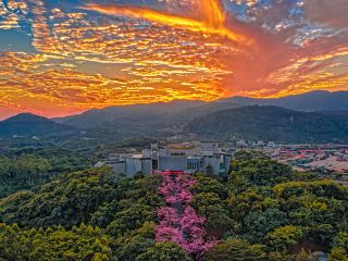 Beach Hotels Near Miami