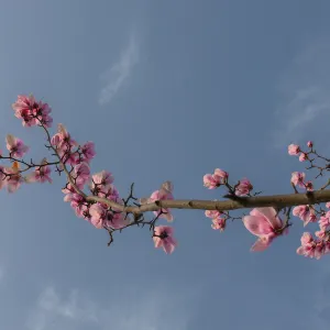111台灣台北市士林區平菁街42巷