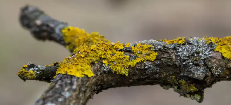 Beach Hotels in Moscow Oblast, Russia