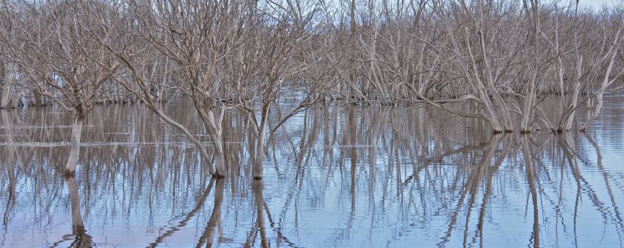 Murray River