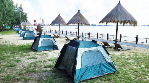 Beihai Golden Bay Mangrove Ecotourism Area