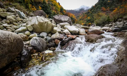 唐家河自然風景區
