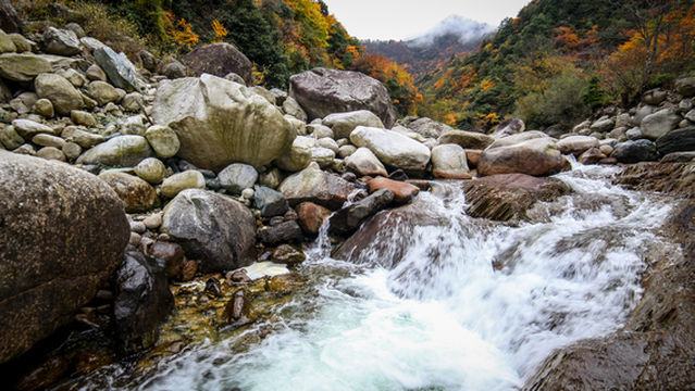 Tangjiahe National Nature Reserve