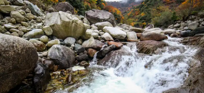 鄰近銀杏公園的酒店