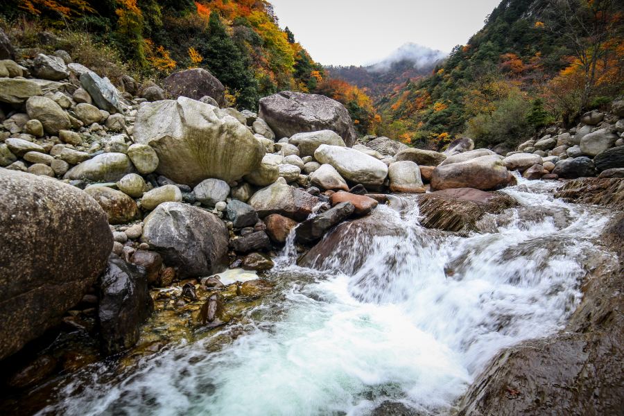 唐家河自然風景區
