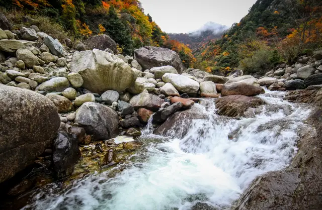 Fall Foliage Sightseeing in Guangyuan