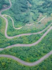 Hongkou National Natural Reserve