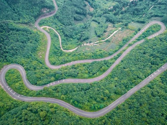 Hongkou National Natural Reserve